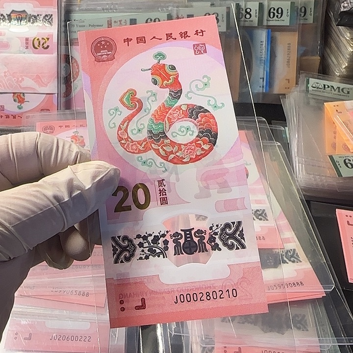 塑料000280210小司令玲珑王五龙珠