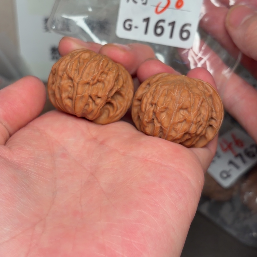 文玩核桃把件38磨盘1616号