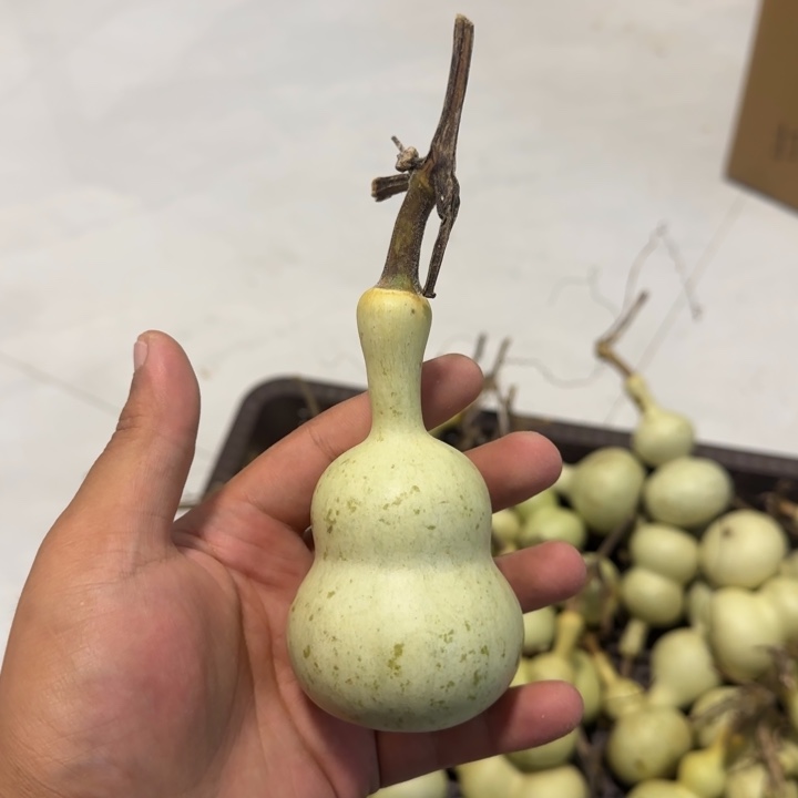 旭***阳感谢大哥支持兄弟，不保成