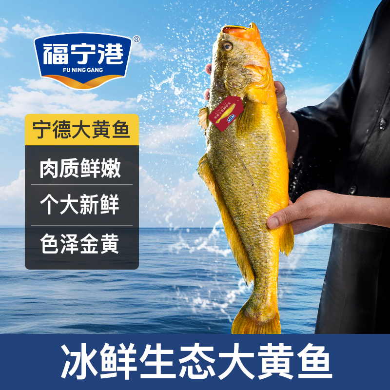 【福建专场】新鲜大黄鱼 鲜嫩无腥3条/4条