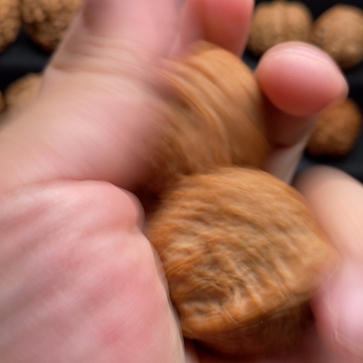 文玩核桃把件右**龙原树血麒麟