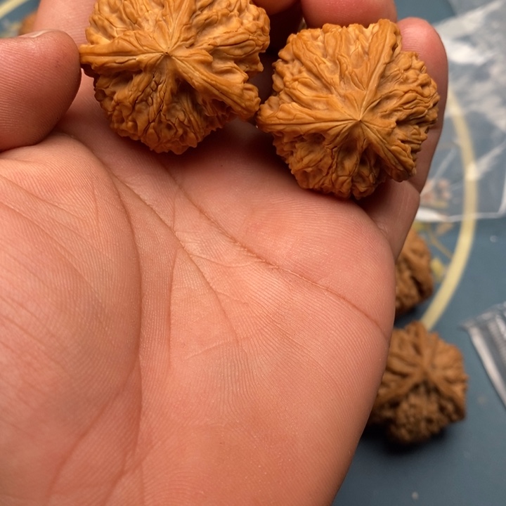 文玩核桃把件万****司玉龙