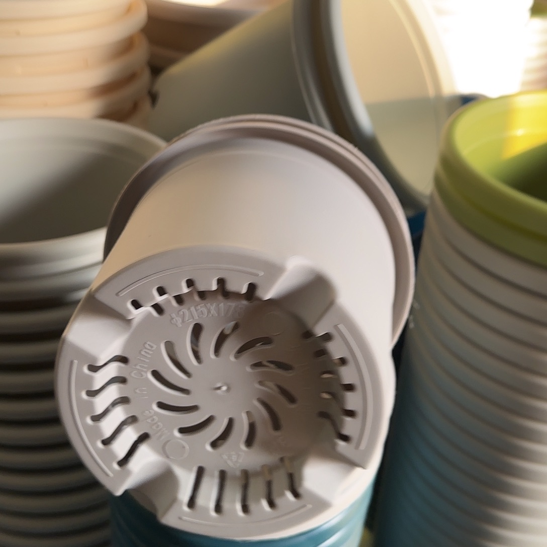 树脂四季3号无托10个灰白微