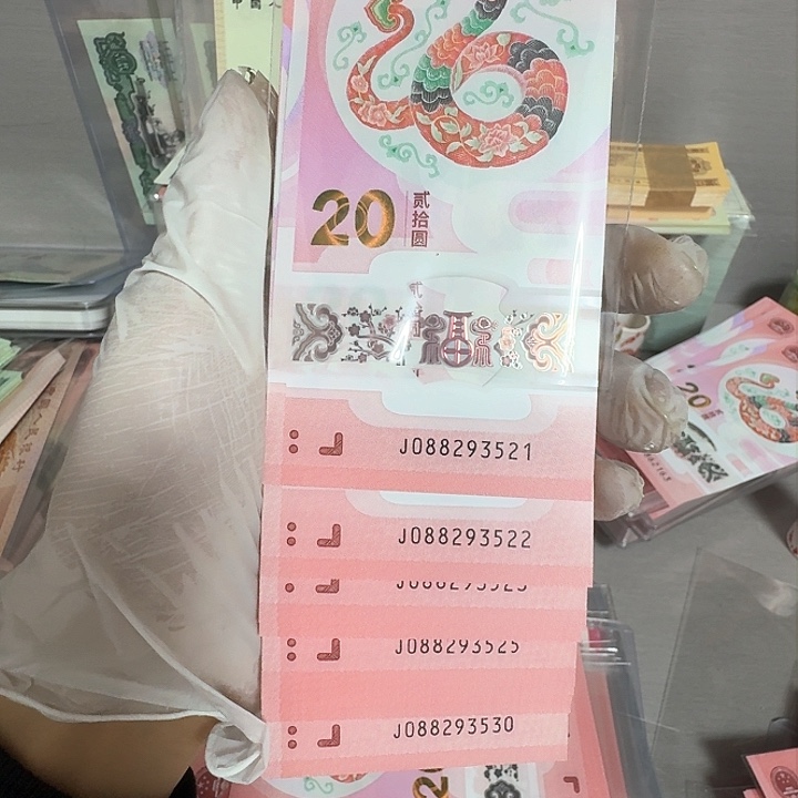 蛇钞纪念钞无47标十3521