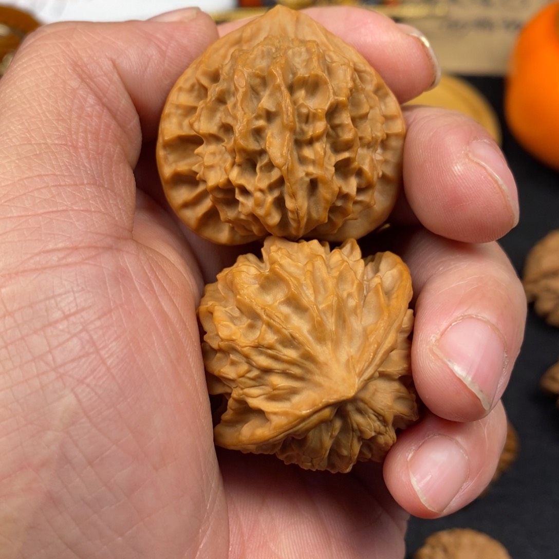 j秦岭南侧为青石山景