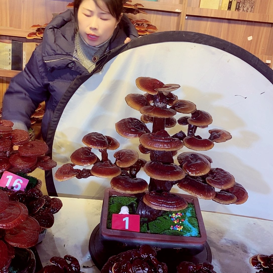 仁***信无花朵发财树发财树发财树