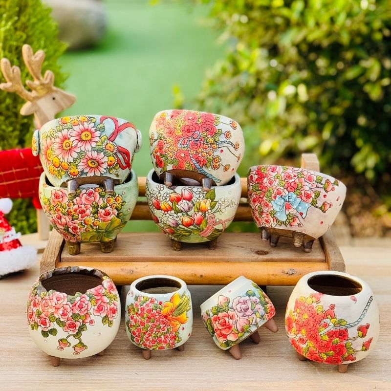 DKD12月11日【金姐妹韩盆直播】 金姐妹进口高端品质手工盆