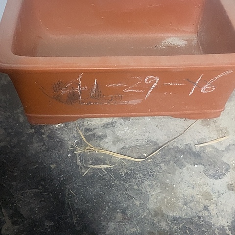 紫砂中国宜兴紫砂花盆，