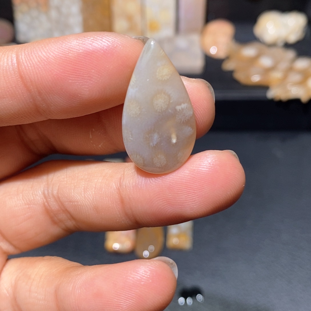 【闪购商品】硅化玉颈饰未镶嵌