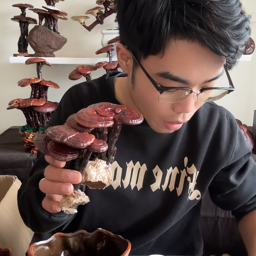 挣***想无花朵88888888888