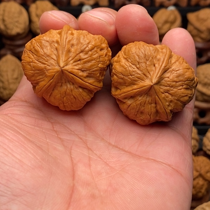 把件文玩核桃9大金蟒