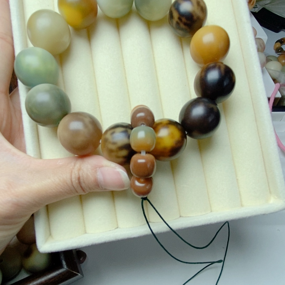 书***界吊坠菩提根/象牙果