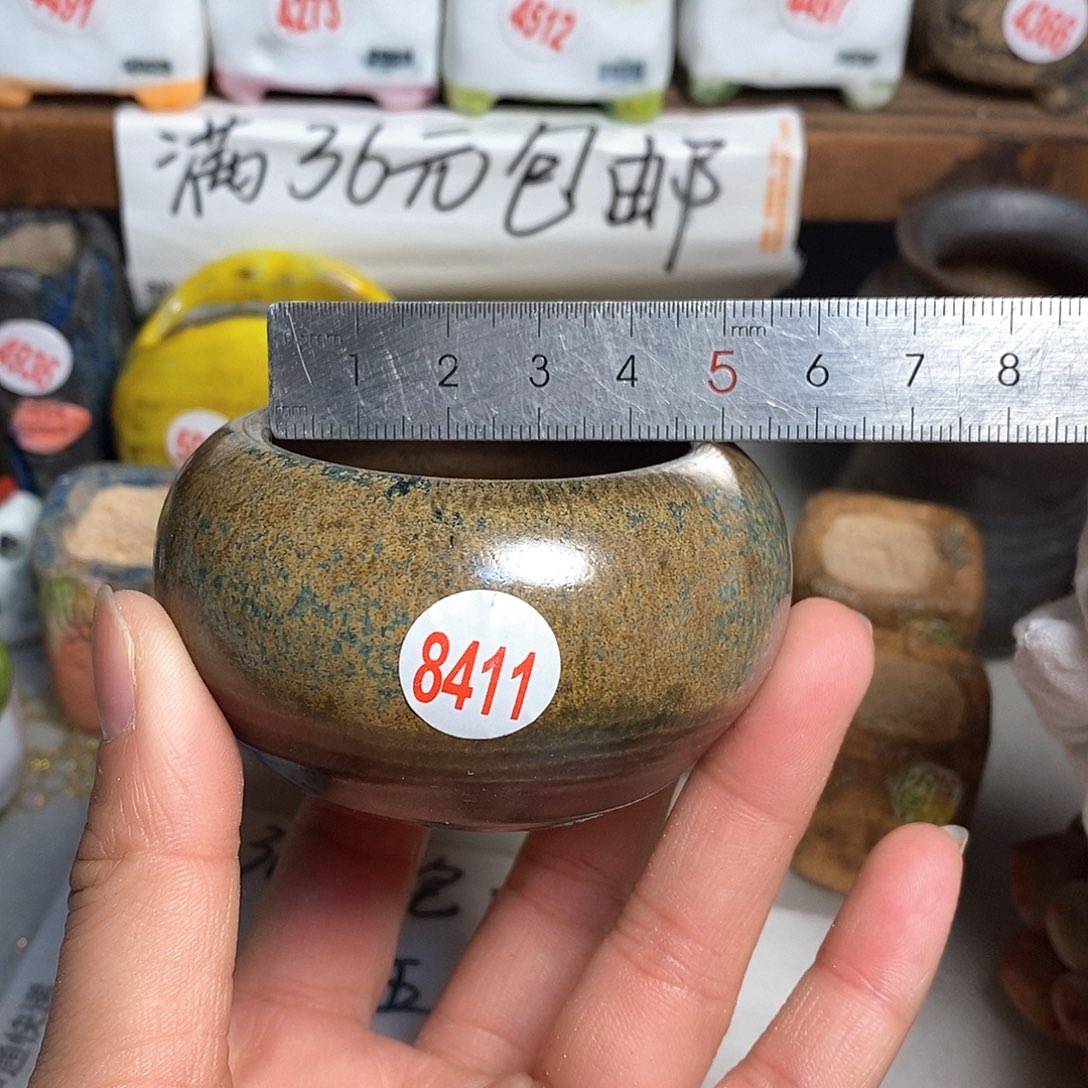 红陶拍5送一个小