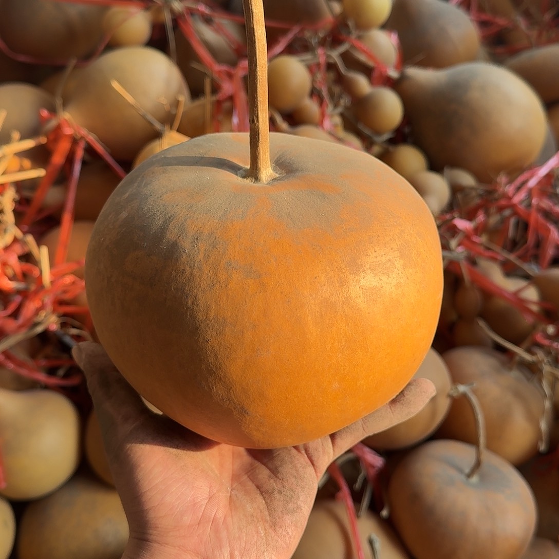 葫芦葫芦葫芦葫芦