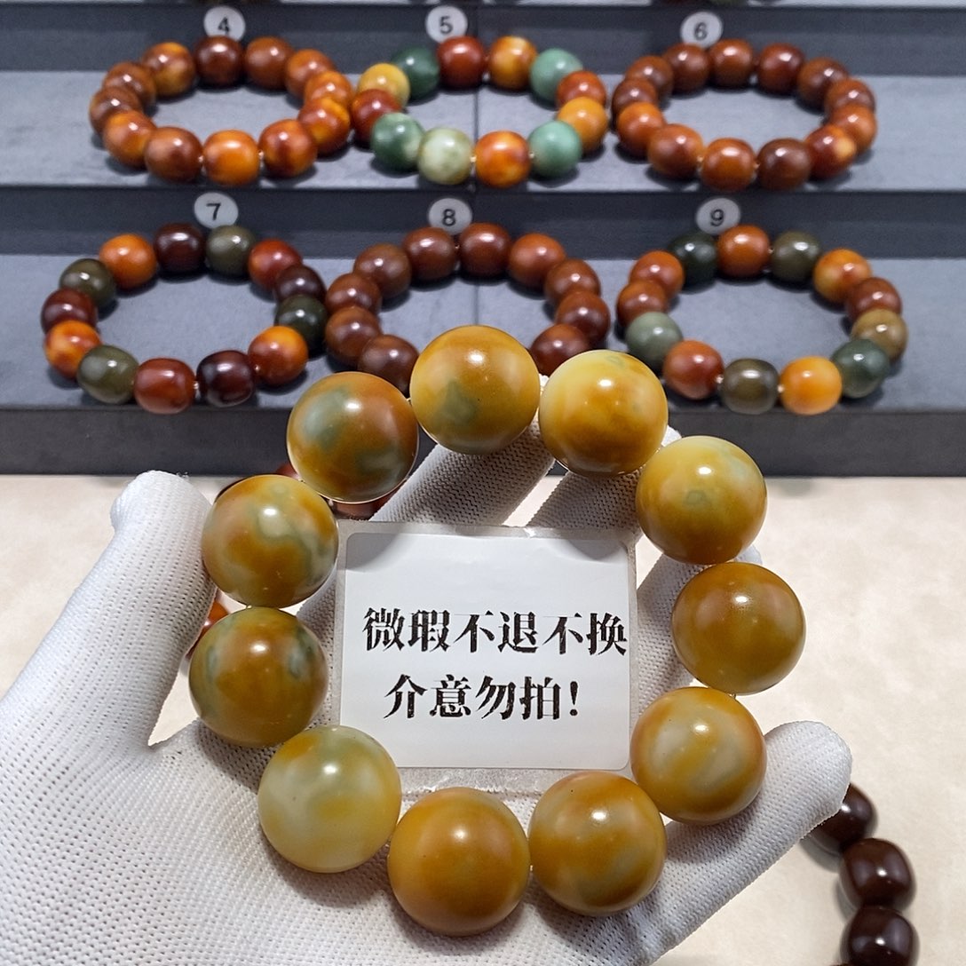 贝***菩提根/象牙果手串