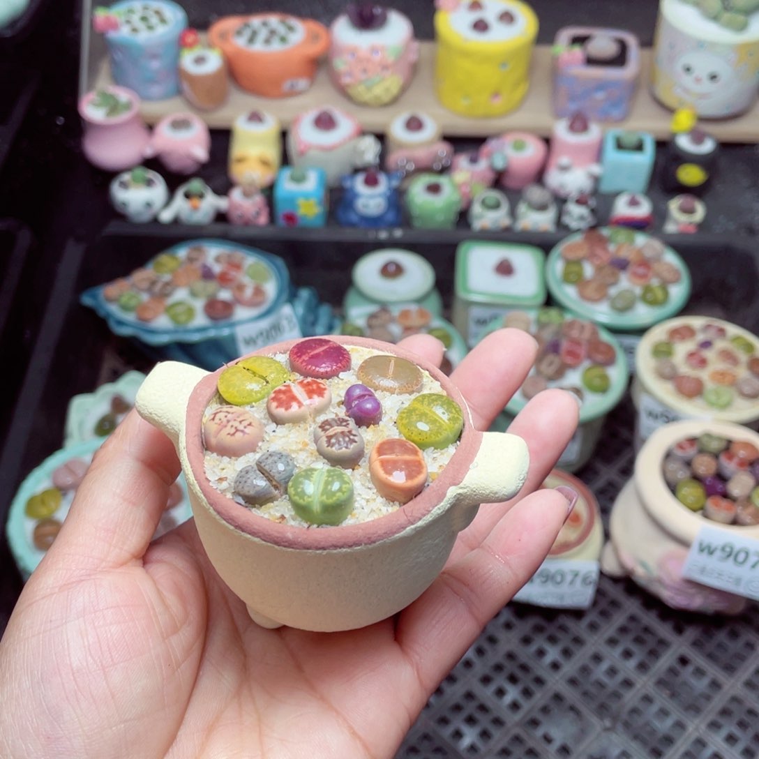 w9078 -零下地区拍保温箱-15支持寄养