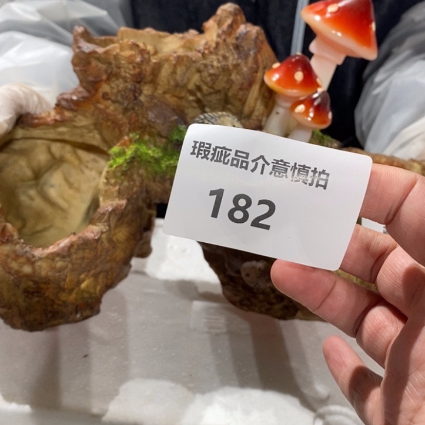 【闪购商品】摆件灯**珊陶瓷摆件瑕疵特卖