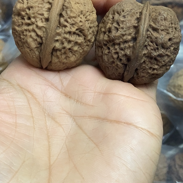 把件文玩核桃云南铁核桃基地10