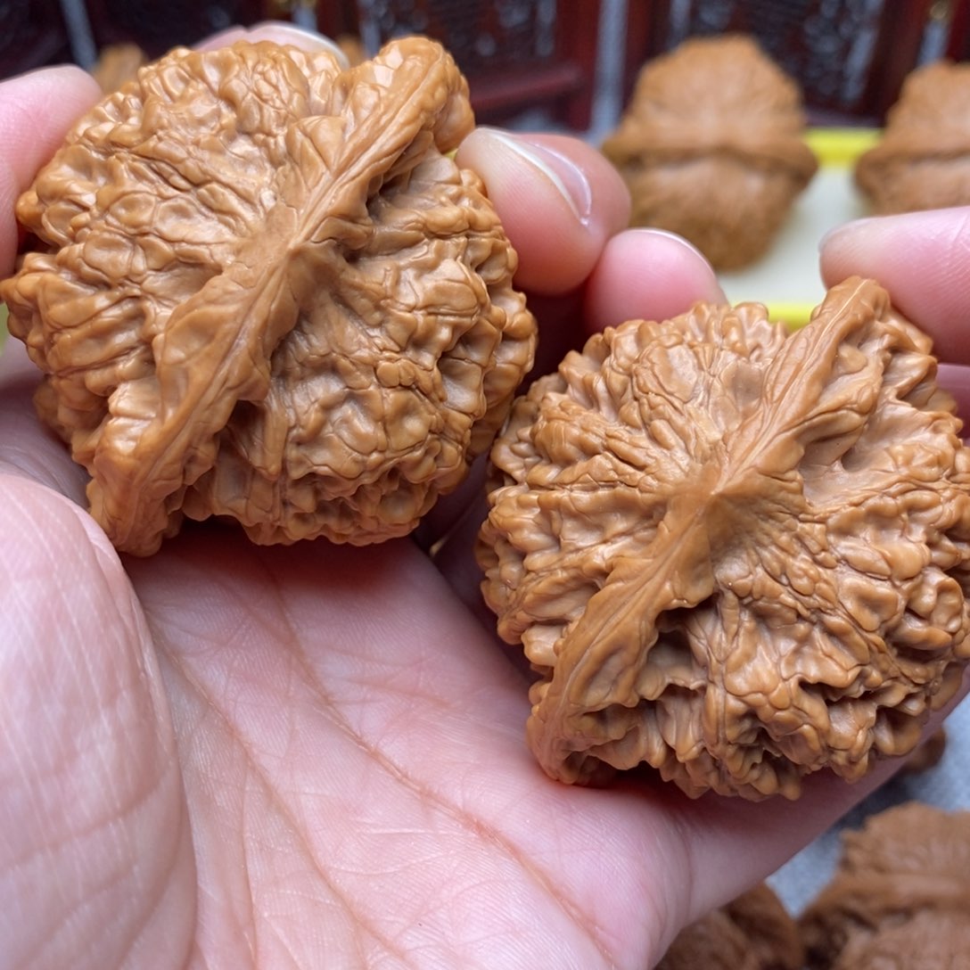 文玩核桃把件全品毕业大肚粗棱官帽52.8尺