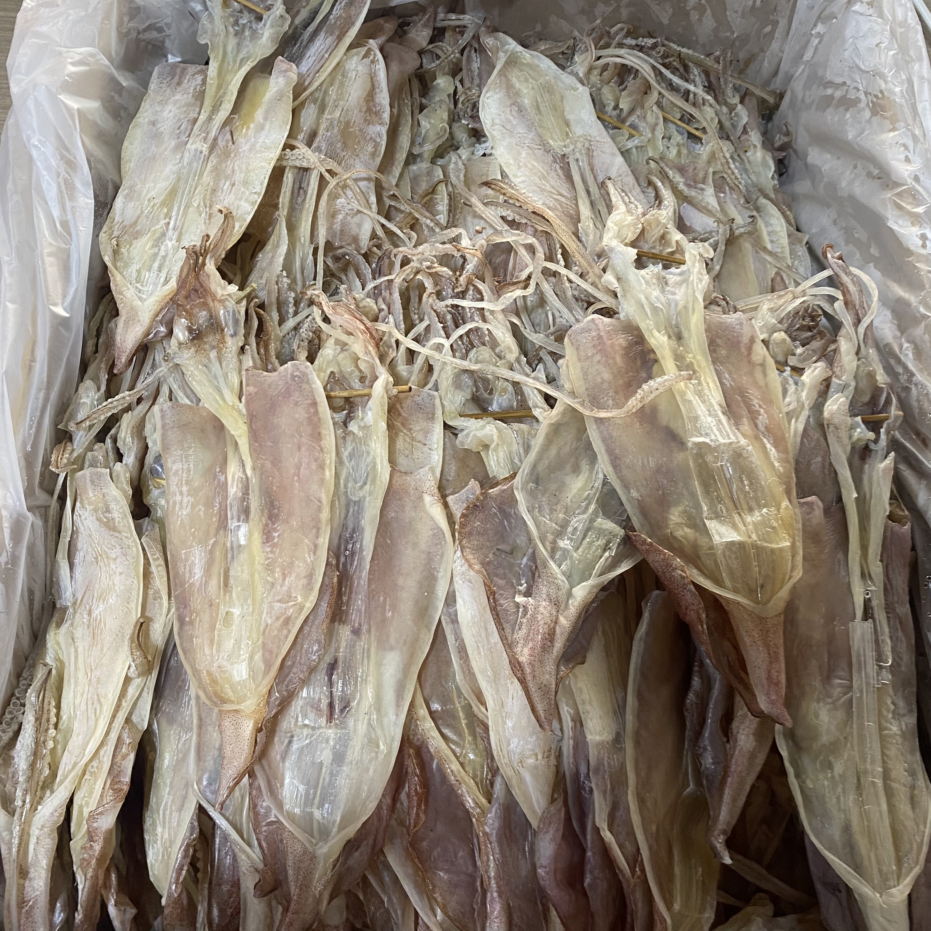 本港中鱿（13-15个）新鲜鱿鱼干