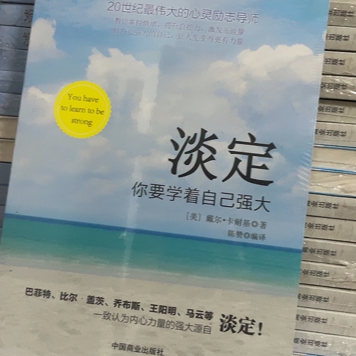 淡定   平装带塑封