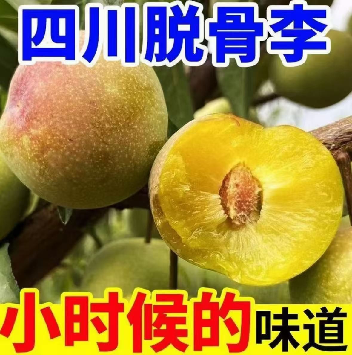 【四川清脆脱骨李】新鲜应季水果甜脆多汁