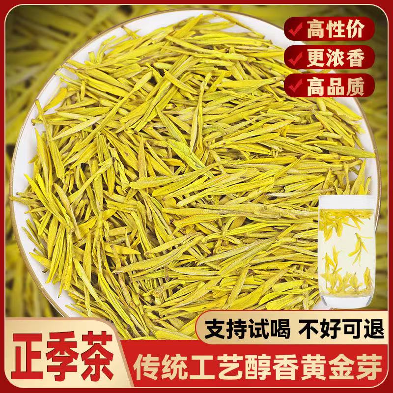 原味新茶明前高山2025年黄金芽豆香醇厚甘甜黄金芽上等好茶茶叶