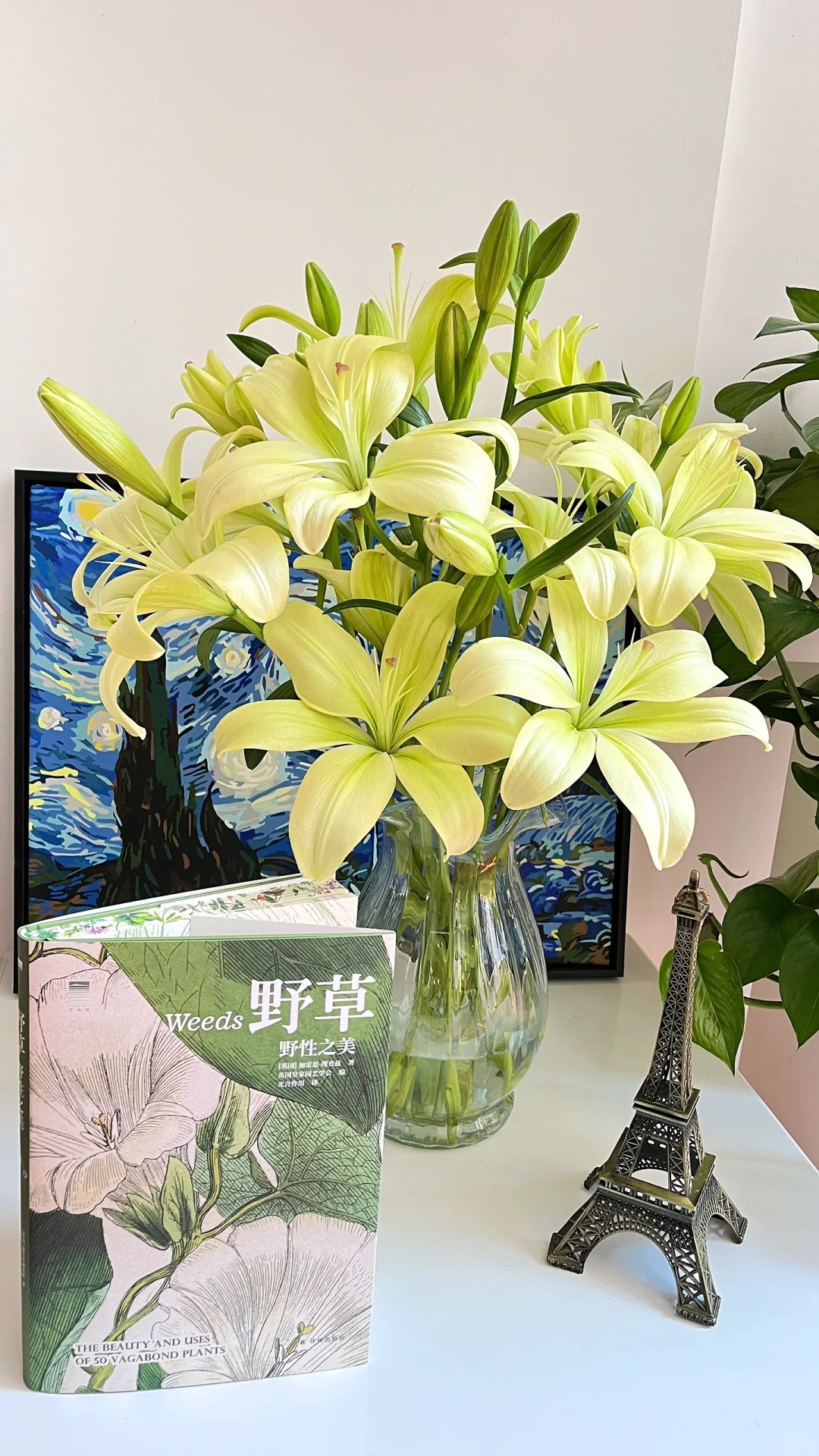 【童年亚百合】高品质亚百合 一单也包邮 发货后不支持退款