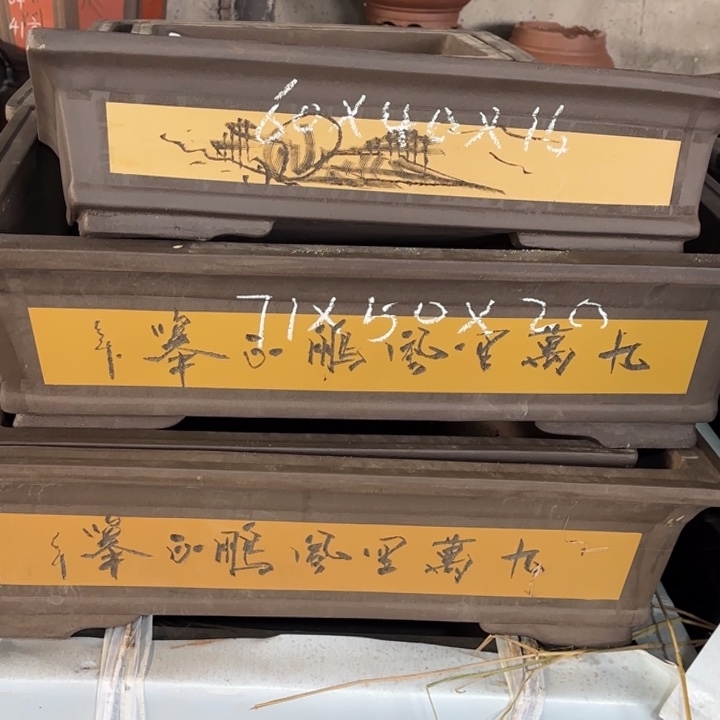 紫砂花盆  300-    组合。  