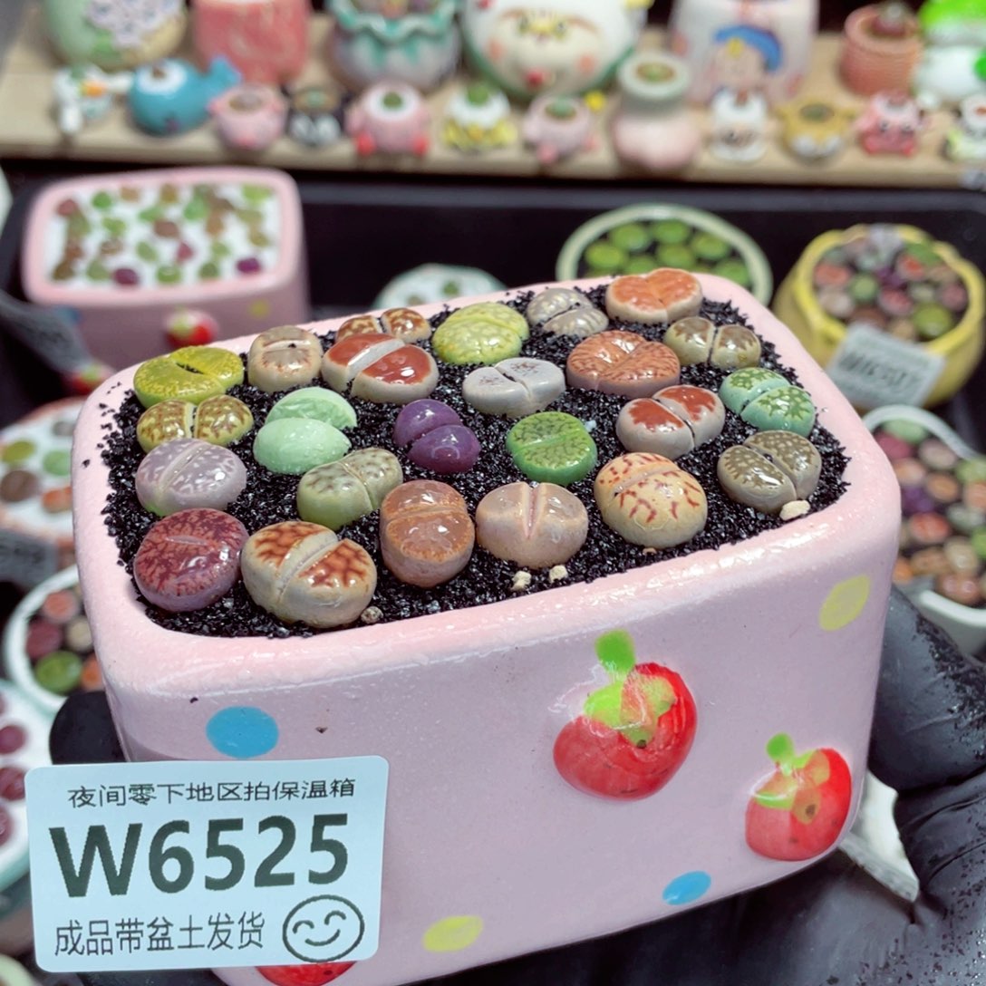 夜间零下地区拍保温箱w6525