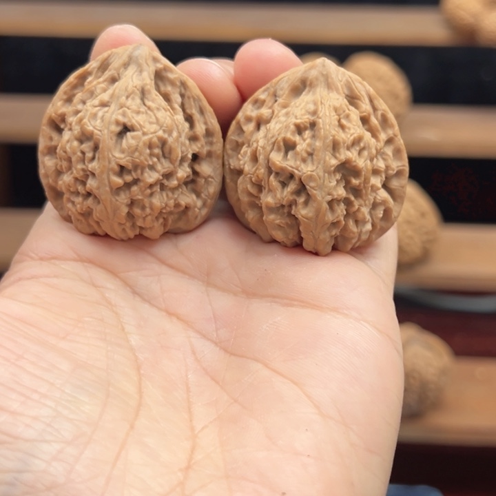 社***学涿鹿南京石文玩核桃