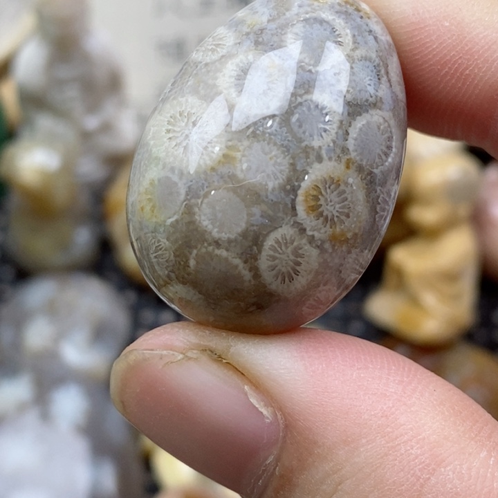 硅化珊瑚（珊瑚玉）未镶嵌颈饰