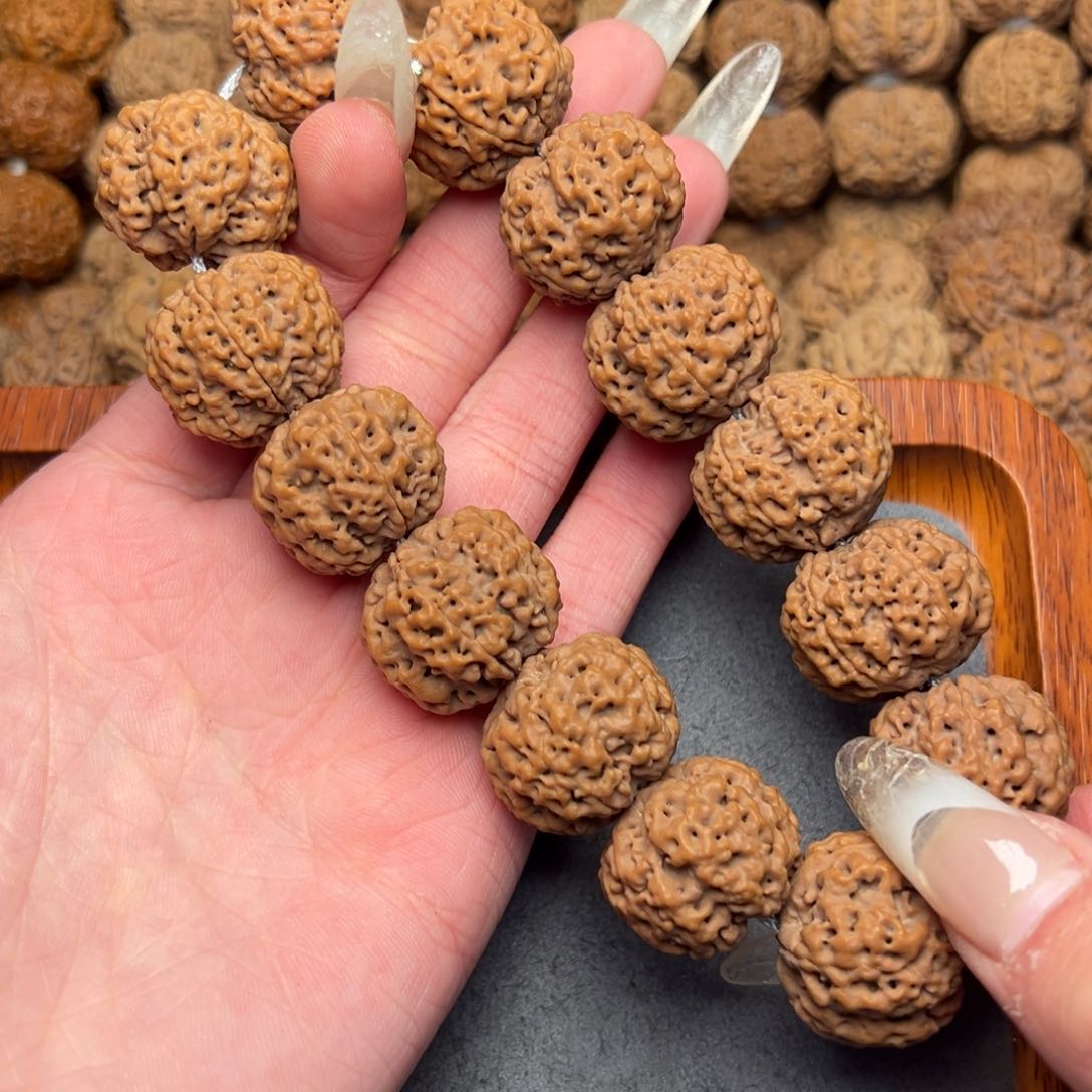 菩提3号尼泊尔大金刚22蜂窝