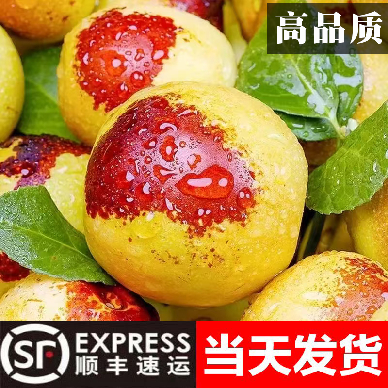 顺丰包邮【冰糖冬枣】山东沾化冬枣现摘冰糖冬枣新鲜水果脆甜3斤5斤