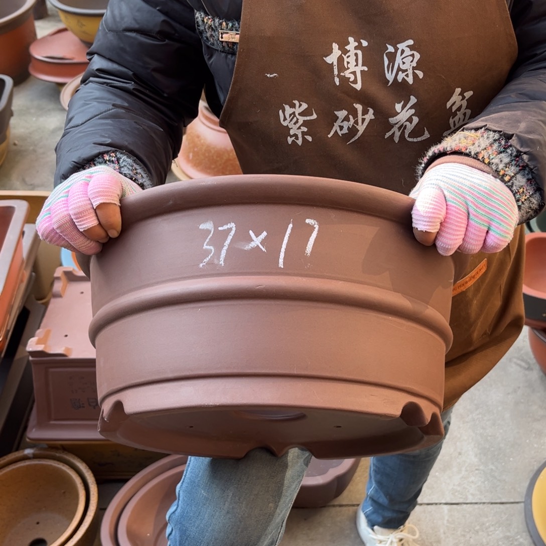 紫砂花盆盆景艺术