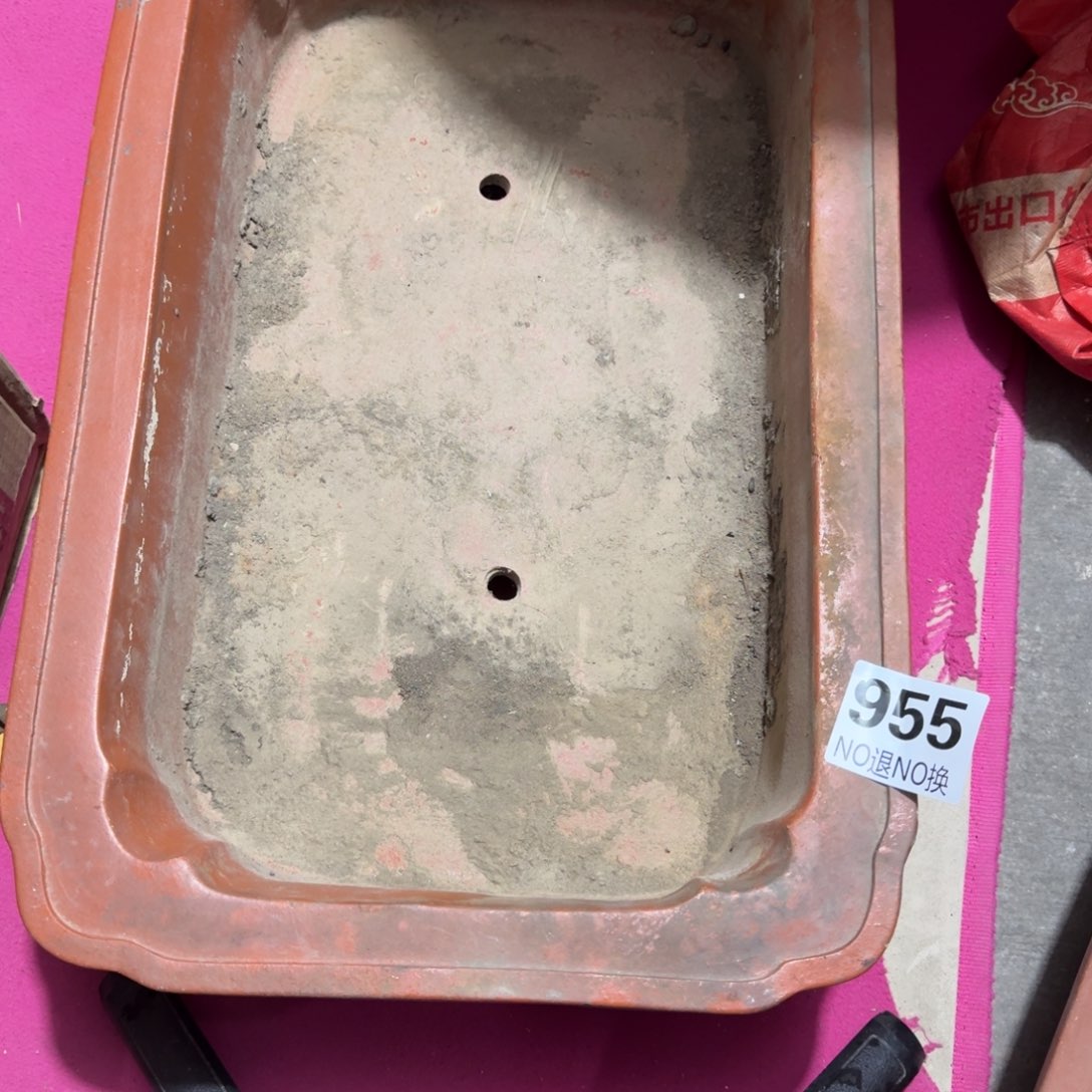 M***Z杂色豆（科檀/科特迪瓦檀木）