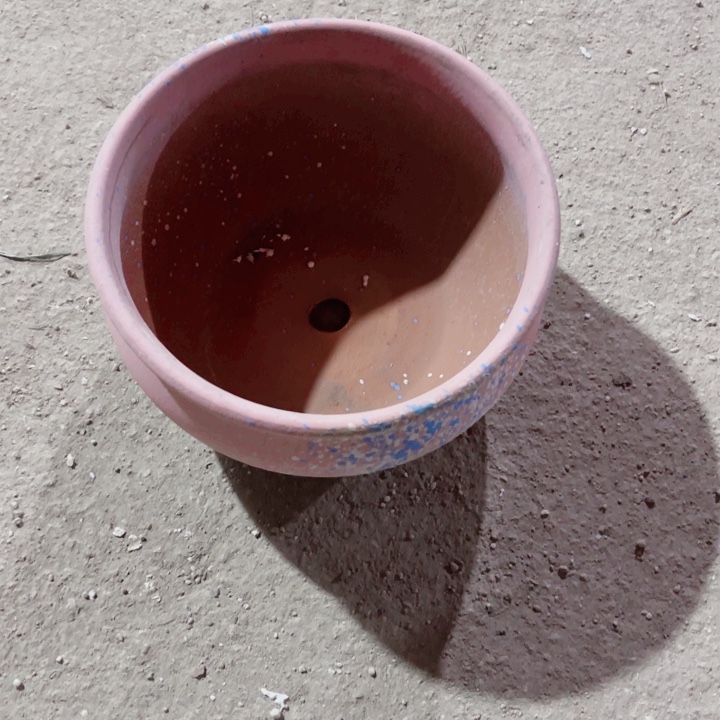 红陶口径20高度11一只