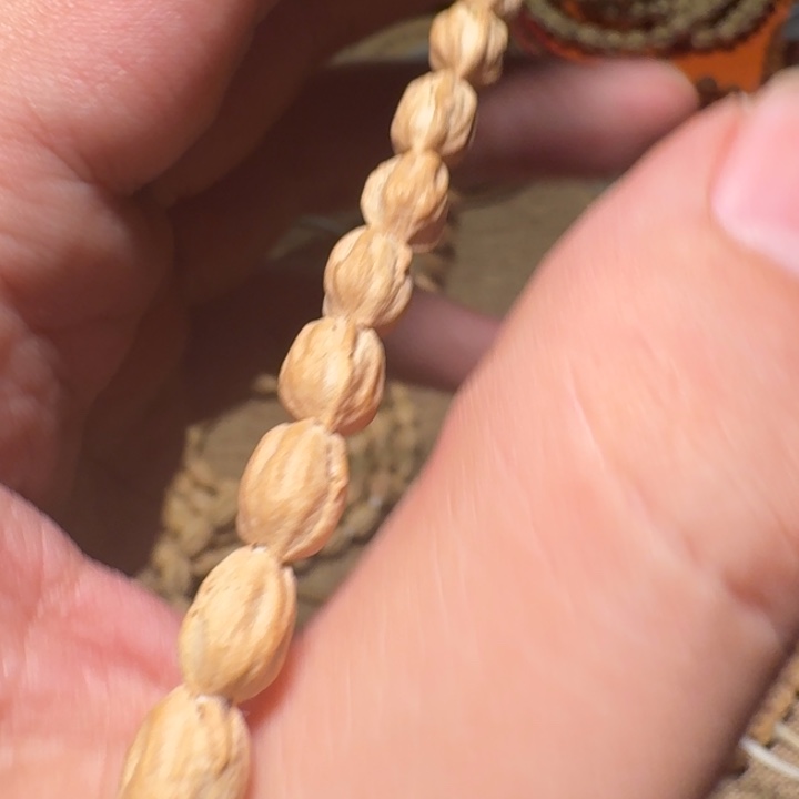 S***_柏香籽/百香籽吊坠