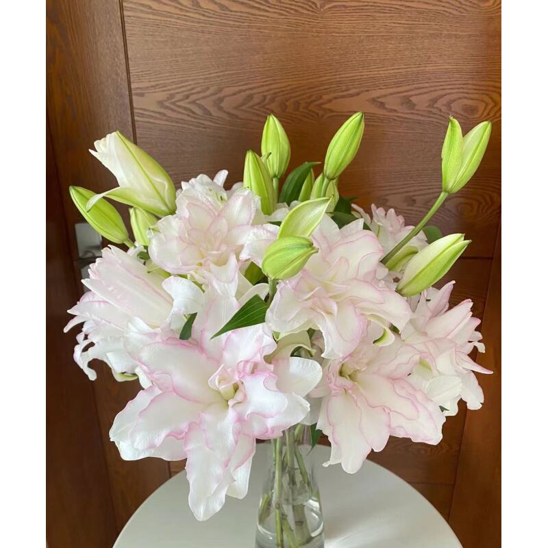 [冰美人重瓣香水百合 ] 任意2单顺丰/德邦 云南鲜花直发