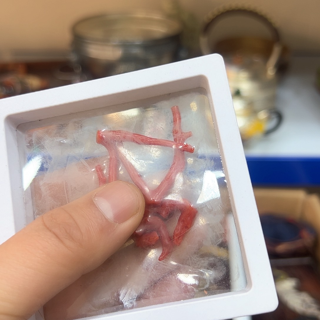 茶盏我们的生活方式是什么