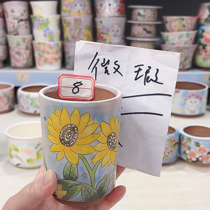 多肉花盆手绘景德镇