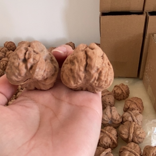 文玩核桃吊坠王****-41蛤蟆头