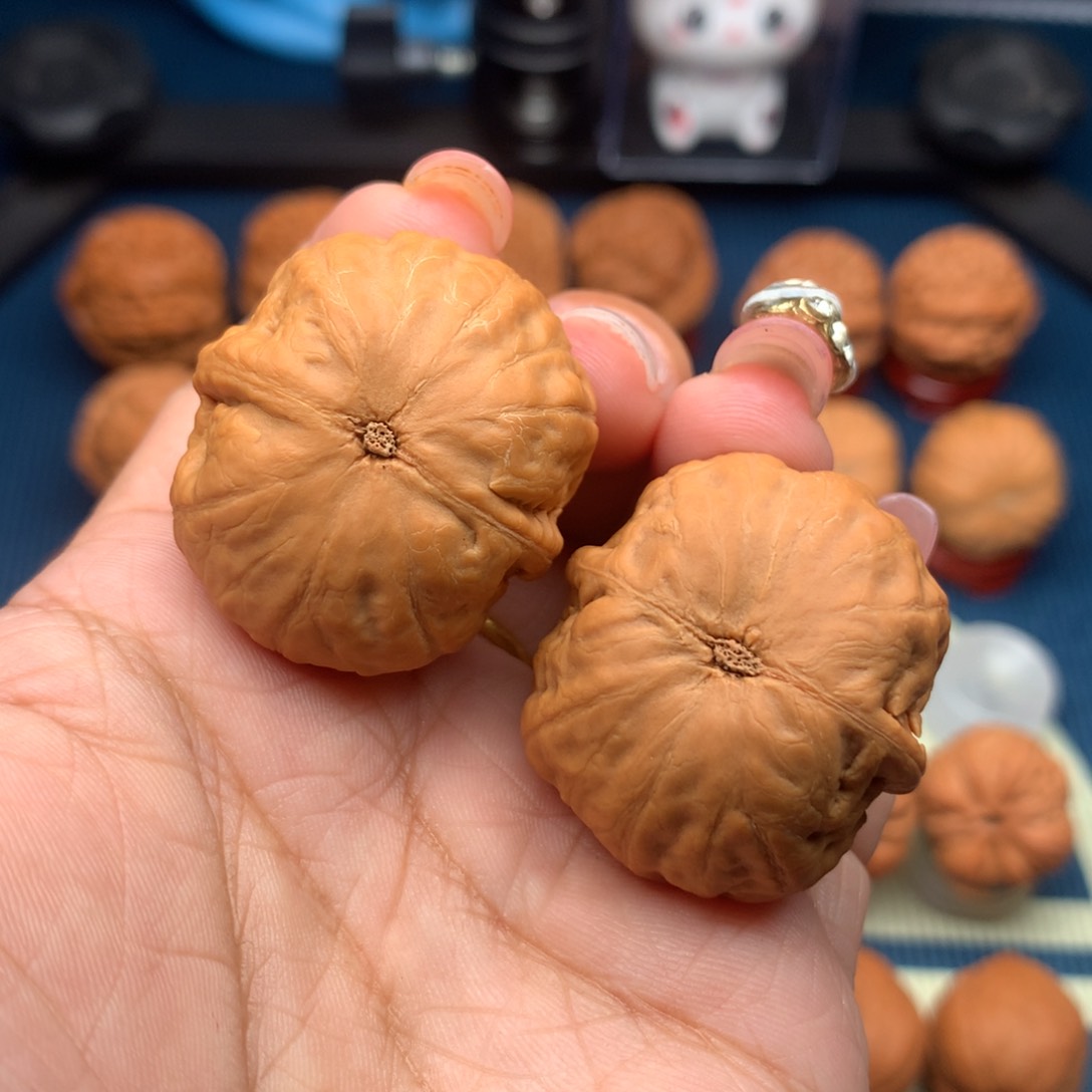 文玩核桃把件H****0核桃