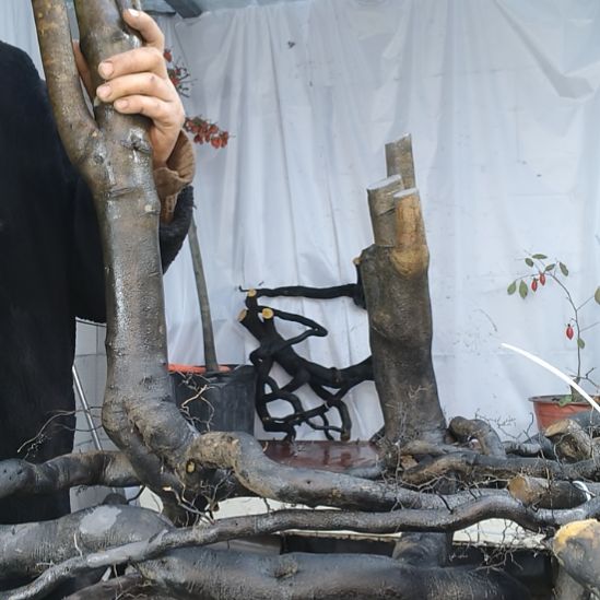 万***手无花朵一个一个一个一个一个