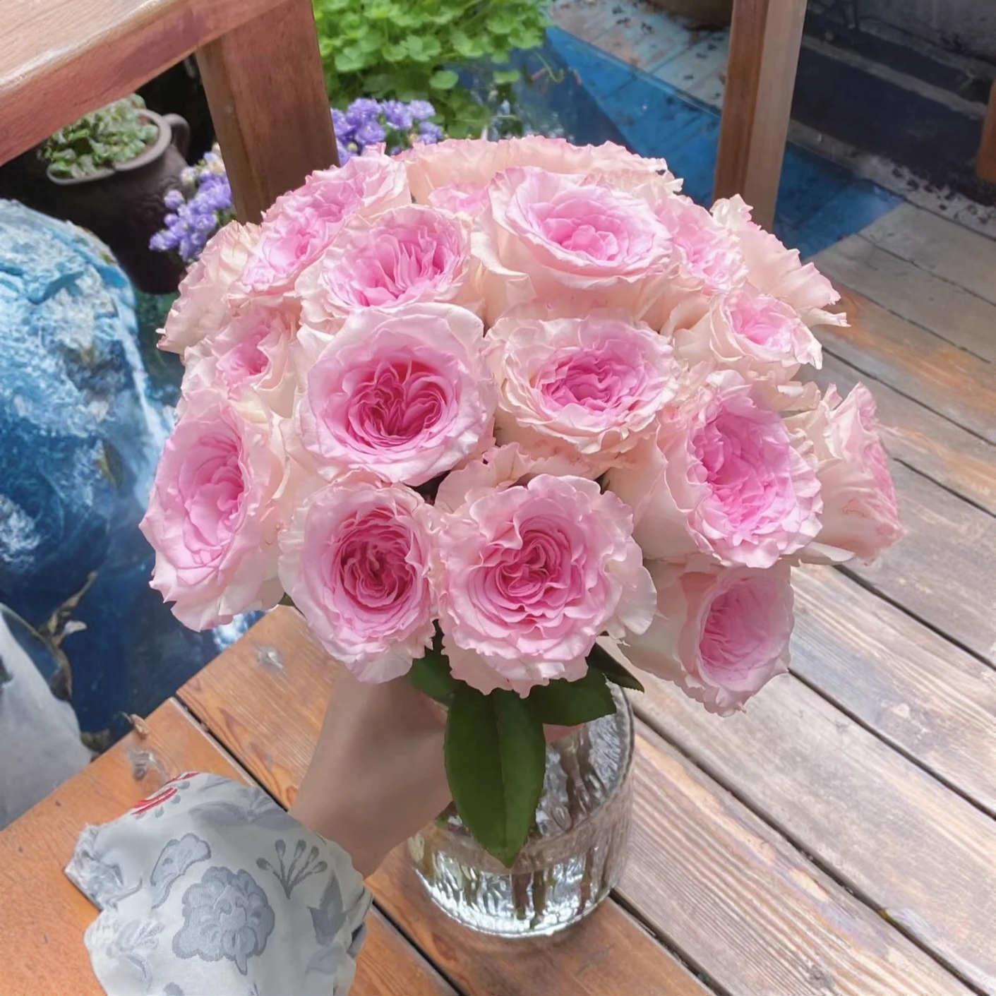 【洛神单头玫瑰】全场鲜花满两单升级顺丰/德邦+保鲜剂三单送花瓶