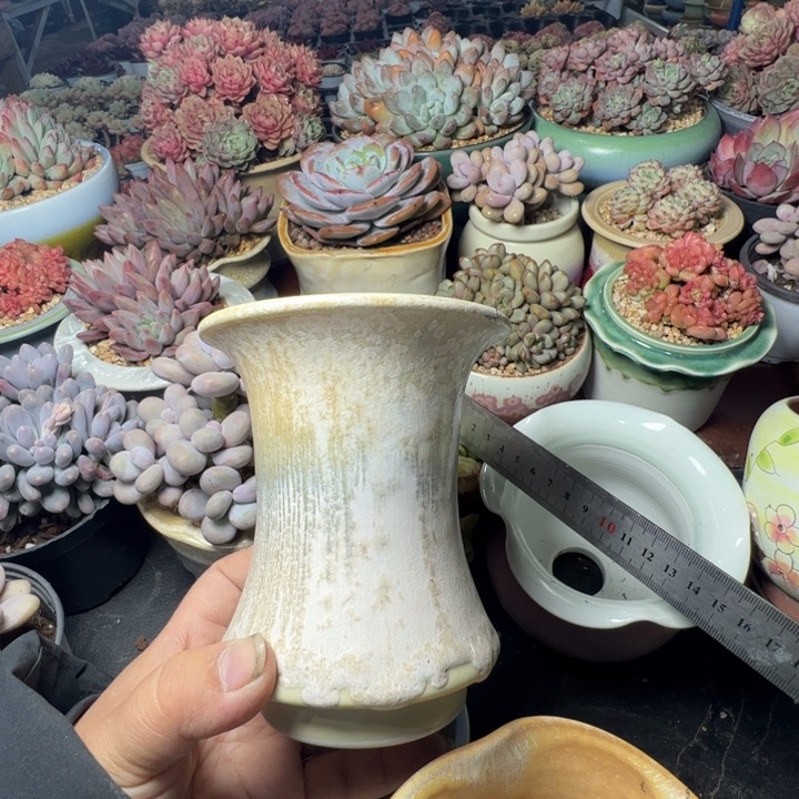 特价花盆满50发货 内口8