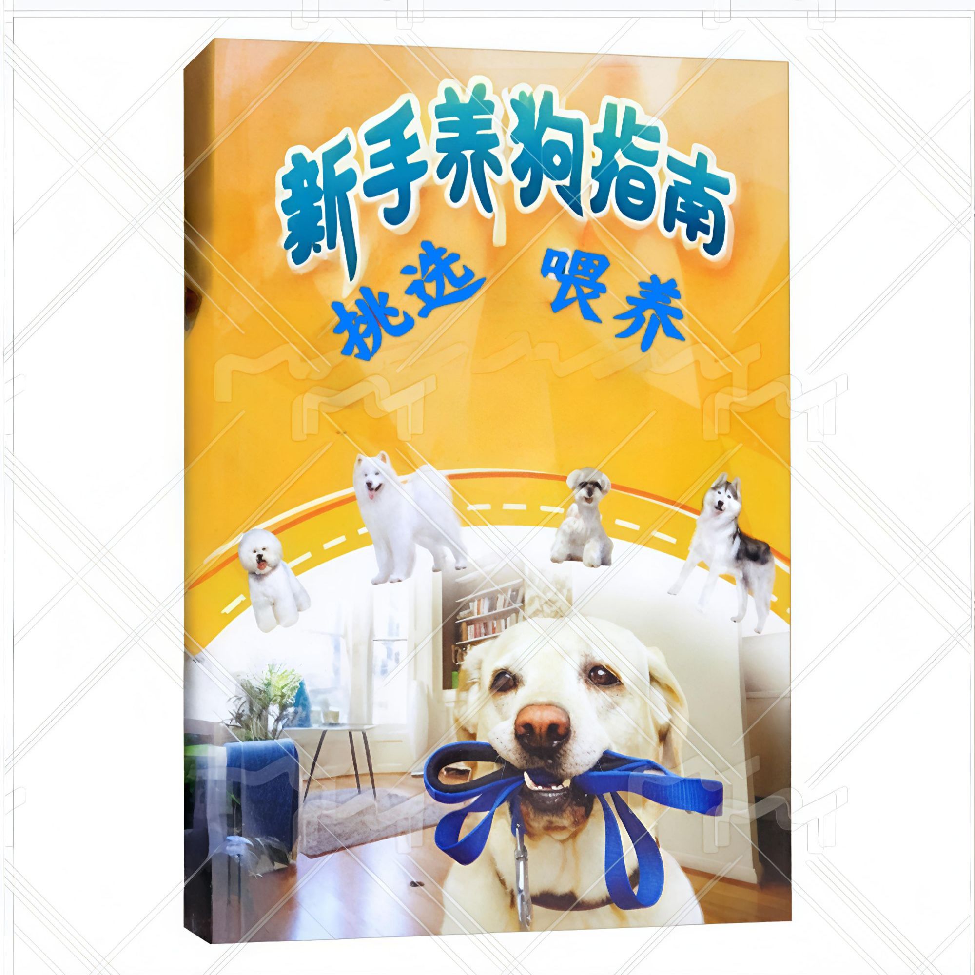 新手养狗指南挑选喂养