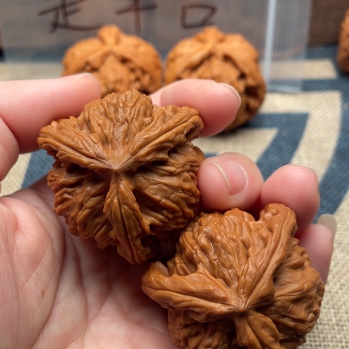 鸿***市核桃白狮子41核桃