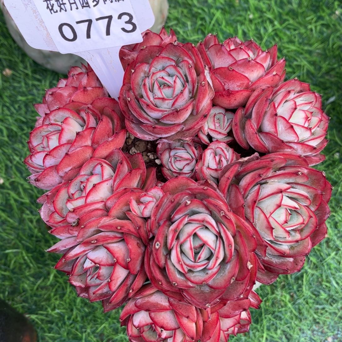 元***爱0773 满30包邮天冷地区必拍保温箱