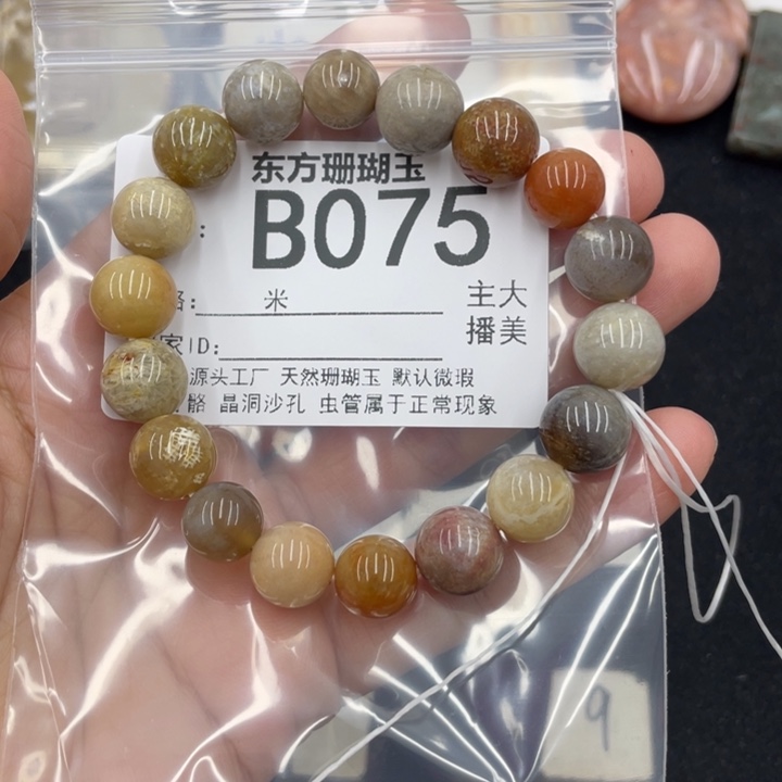 硅化珊瑚（珊瑚玉）颈饰合金